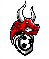 Toritos Locos FC