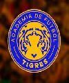 Academia Tigres