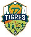 TIGRES