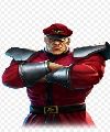 M.Bison