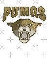 PUMAS