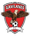Gavilanes