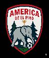 America de El Pino