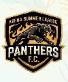 Panthers F.C.