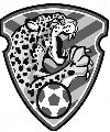 Jaguares
