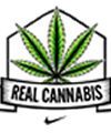 REAL CANNABIS