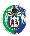 DESGUACES VILLAMARTIN VET.