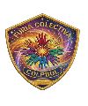 FURIA COLECTIVA