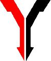 Y