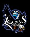 FALCONS