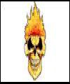 Champions Of Dead