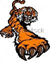 NORDIC TIGERS