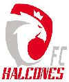 HALCONES