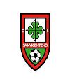 SANVICENTEÑO 'B'