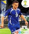 ibisevic