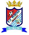 F.C. FLECHA REVOLUTION