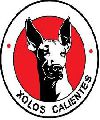 XOLOS