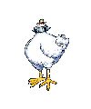 Pollos sin cabeza