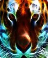 LOS TIGRES DE FUEGO