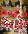 LOS POCHOS C.F