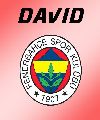 David (FEN)