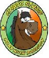 Kauto Stars