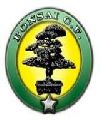 Bonsai