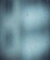 TRANSPARENTES