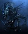 aquren