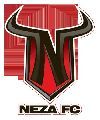 TOROS NEZA