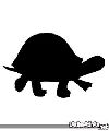 Tortugas