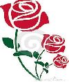 Rosas