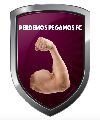Perdemos Pegamos FC