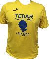 Pinturas Tebar (equipo retirado)