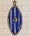 The Blue Flag FC