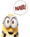 Papaya