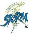 The Gamestorm