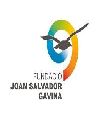 Gavina-Infantil