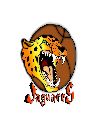 JAGUARES
