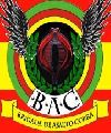 Brigada de asalto cobra