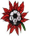 Regional Atacama CLASICO