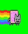NYAMCAT MLG