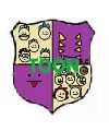 Toon FC