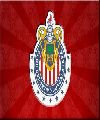 chivas