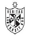 Club Deportivo Universidad de San Martín