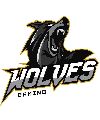 The Wolves