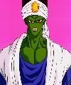 Pikkon