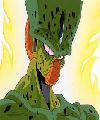 Cell 1st