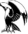 Halcones