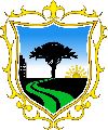 Deportivo San Borja